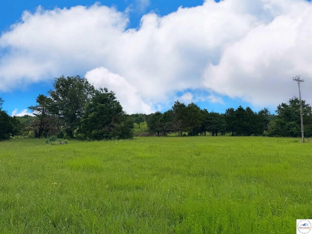 31.50ACRES C Hwy, Lincoln, MO 65338 - photo 29