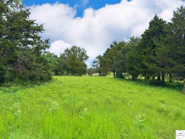 31.50ACRES C Hwy, Lincoln, MO 65338 - photo 31