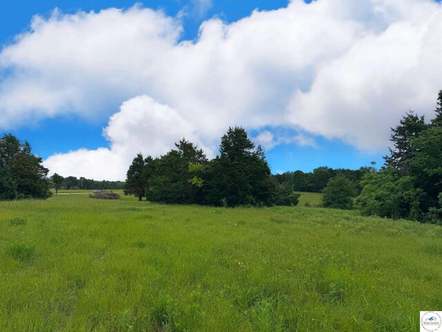 31.50ACRES C Hwy, Lincoln, MO 65338 - photo 30