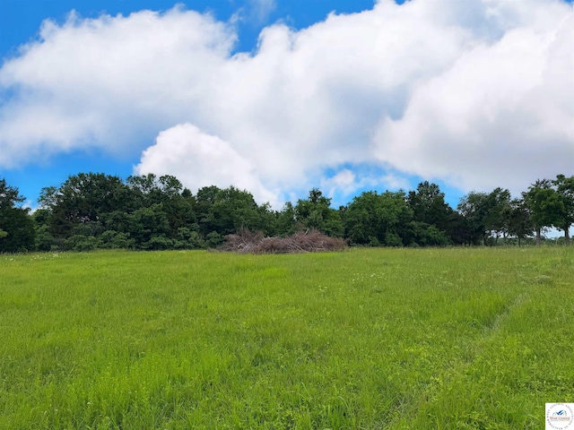 31.50ACRES C Hwy, Lincoln, MO 65338 - photo 28