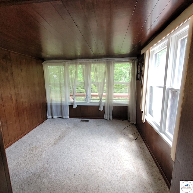 sunroom / solarium featuring wood ceiling, wooden walls, and carpet flooring