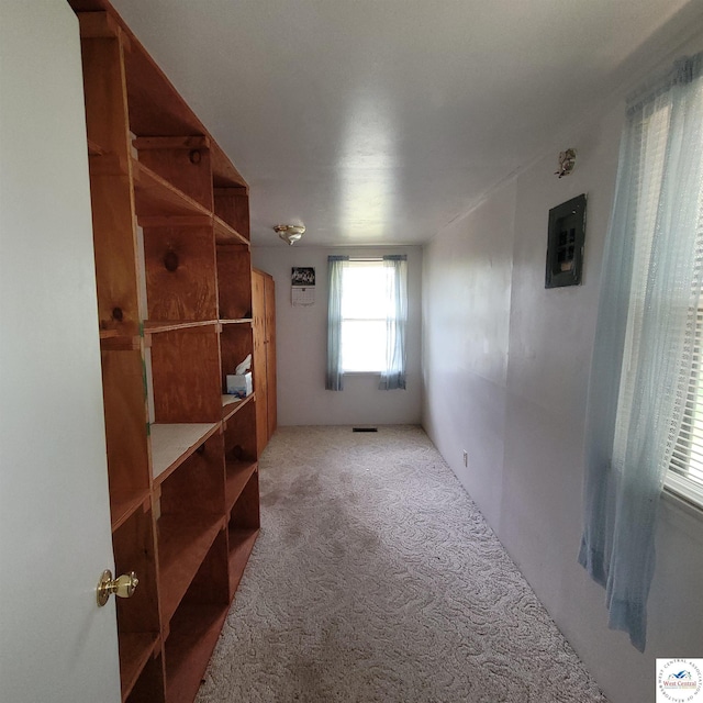 unfurnished room featuring carpet floors and electric panel
