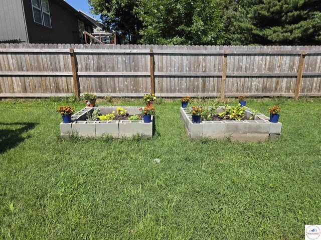 1010 NW Scenic Dr, Grain Valley, MO 64029 - view of yard with a vegetable garden