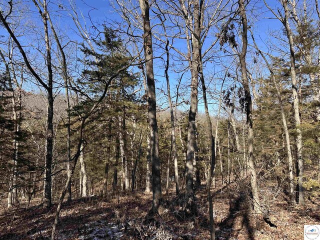 14ACRES Cumberland Gap Ave, Warsaw, MO 65355 - photo 7