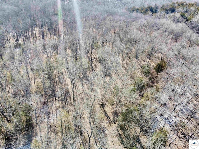 14ACRES Cumberland Gap Ave, Warsaw, MO 65355 - photo 10