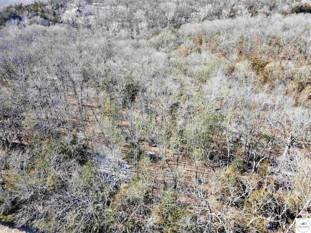 14ACRES Cumberland Gap Ave, Warsaw, MO 65355 - photo 8