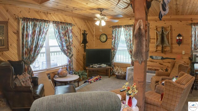 29139 Sandy Ln, Lincoln, MO 65338 - living room with wood walls, wooden ceiling, plenty of natural light, a ceiling fan, and carpet