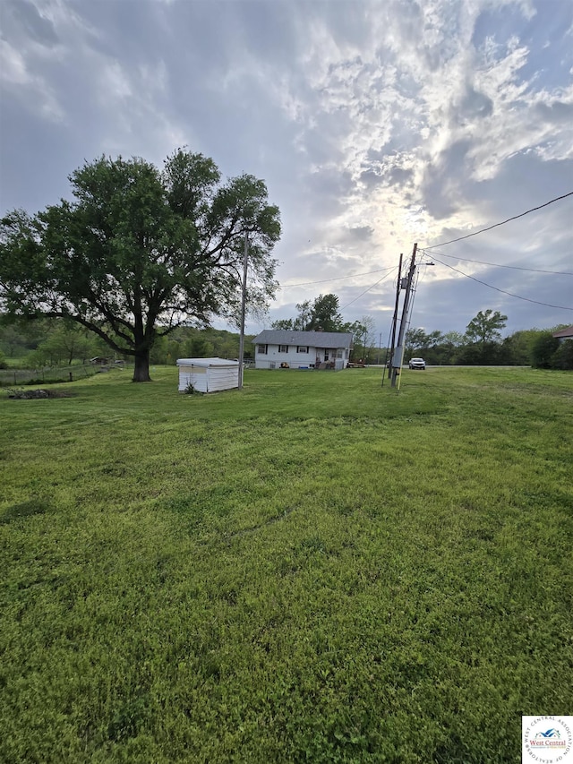 view of yard