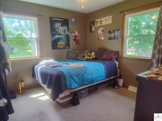 905 Grandview Ave, Slater Saline Co, MO 65349 - photo 14