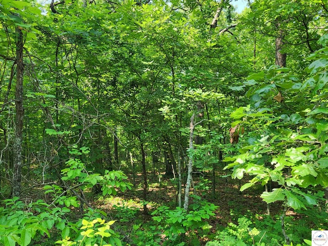 Kean Ln, Edwards, MO 65326 - photo 3