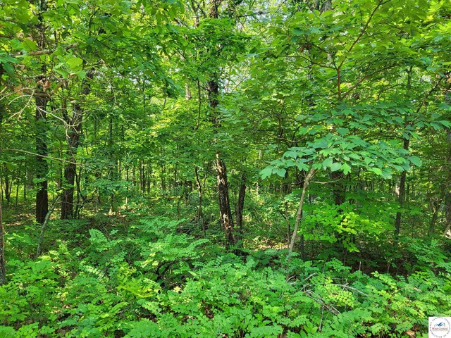 Kean Ln, Edwards, MO 65326 - photo 1