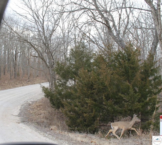 Kean Ln, Edwards, MO 65326 - photo 6