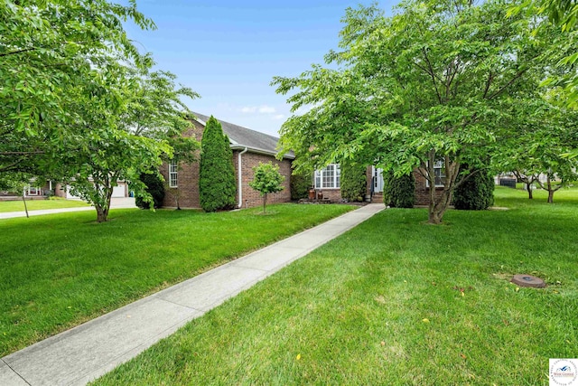 3375 Cedar St, Sedalia, MO 65301 - view of property hidden behind natural elements featuring brick siding and a front yard