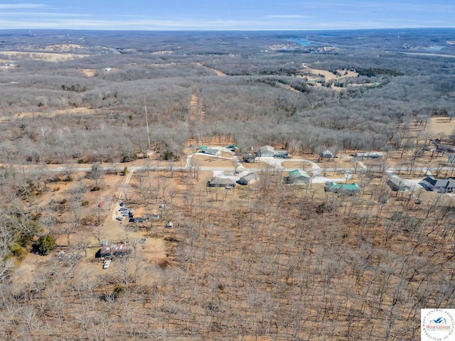 21439 Lost Rd, Warsaw, MO 65355 - drone / aerial view