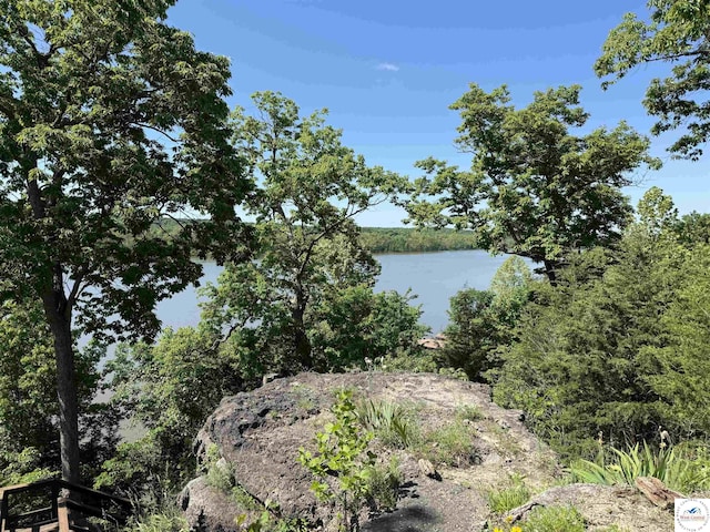 22714 Lake Dr, Warsaw, MO 65355 - water view