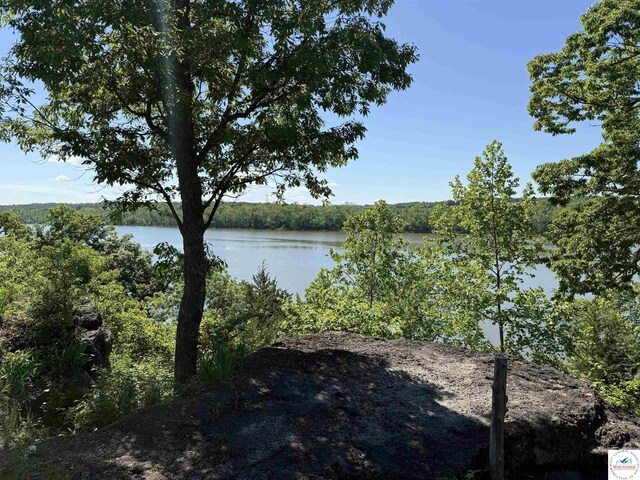 22714 Lake Dr, Warsaw, MO 65355 - water view