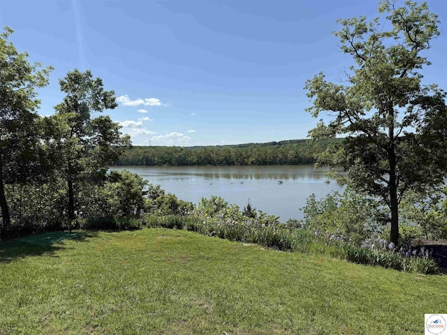 22714 Lake Dr, Warsaw, MO 65355 - water view with a heavily wooded area