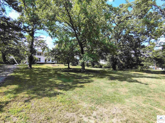 1105 Lay Ave, Warsaw, MO 65355 - view of grassy yard