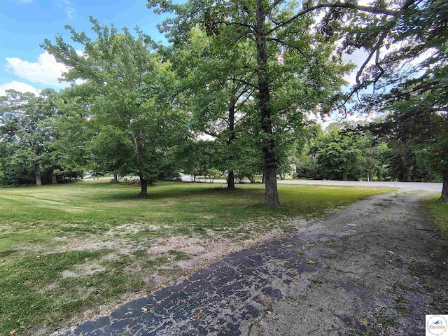 1105 Lay Ave, Warsaw, MO 65355 - view of grassy yard