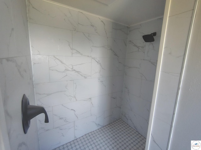1105 Lay Ave, Warsaw, MO 65355 - full bath with tiled shower