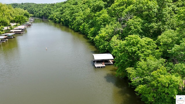 26084 Henrys Acres Rd, Lincoln, MO 65338 - photo 32