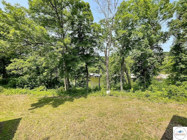 26084 Henrys Acres Rd, Lincoln, MO 65338 - photo 23
