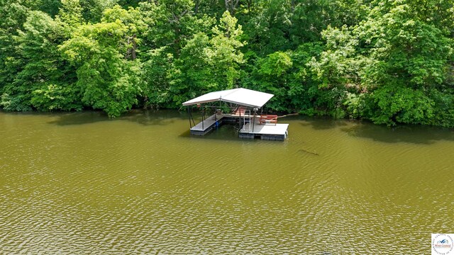 26084 Henrys Acres Rd, Lincoln, MO 65338 - photo 33