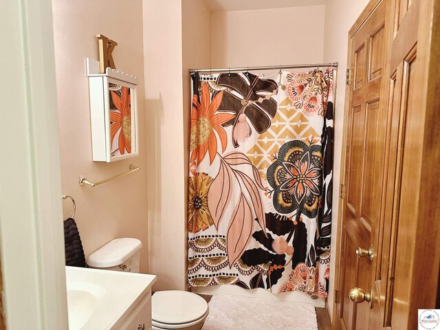 165 NE 100th Rd, Clinton, MO 64735 - bathroom with toilet, vanity, and a shower with shower curtain