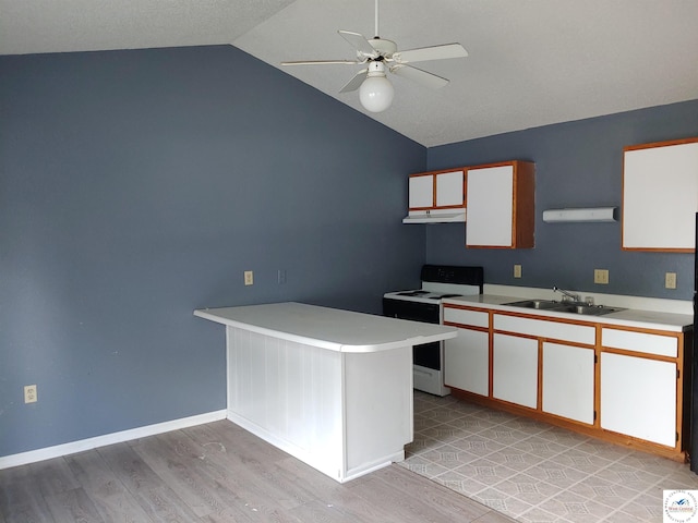 206 N Ohio St, Chilhowee, MO 64733 - kitchen with light wood finished floors, a sink, electric range, and under cabinet range hood