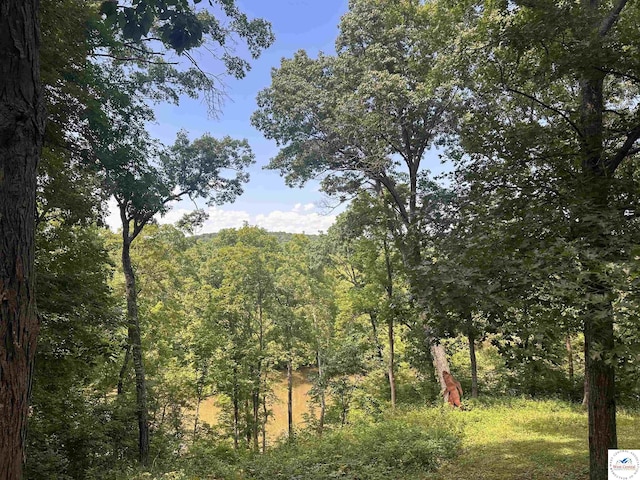 25609 Honey Bear Loop, Warsaw, MO 65355 - view of tree filled area