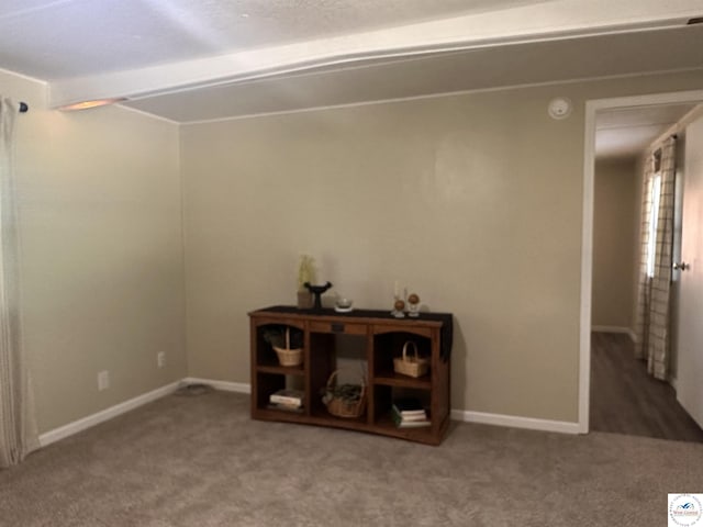 25609 Honey Bear Loop, Warsaw, MO 65355 - hallway featuring carpet flooring