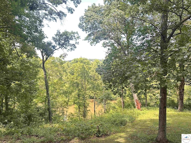 25609 Honey Bear Loop, Warsaw, MO 65355 - view of woods