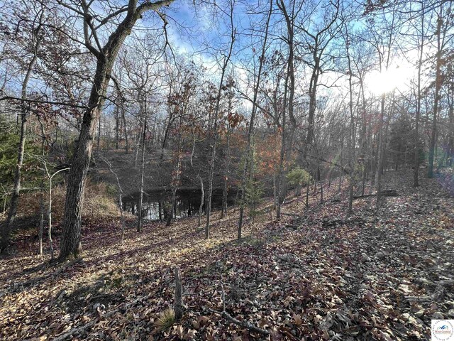 151 State Road Ff Rd, Edwards, MO 65326
