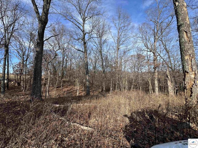 151 State Road Ff Rd, Edwards, MO 65326