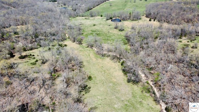 151 State Road Ff Rd, Edwards, MO 65326