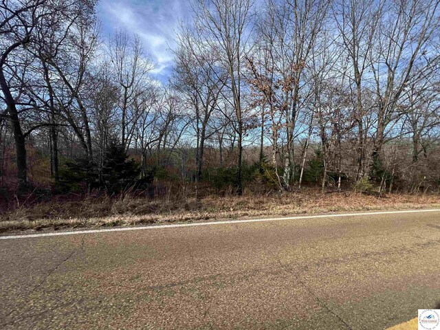 151 State Road Ff Rd, Edwards, MO 65326