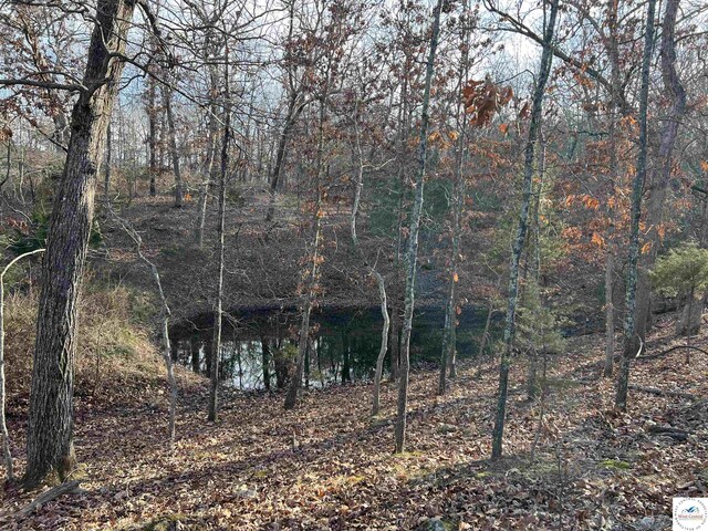 151 State Road Ff Rd, Edwards, MO 65326