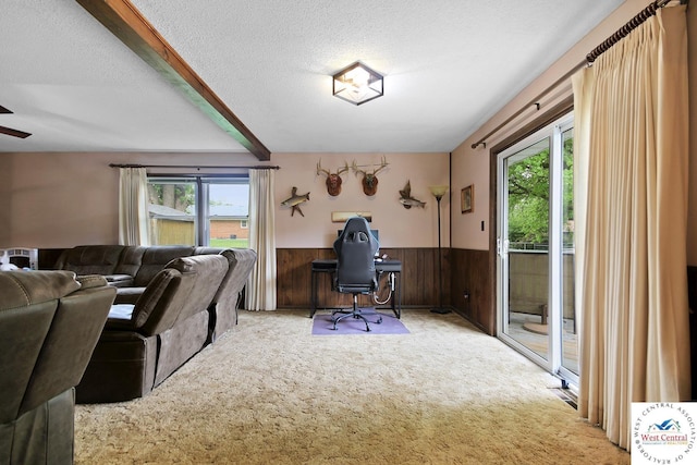 904 Leone Ave, Sedalia, MO 65301 - carpeted office space with a textured ceiling, wood walls, wainscoting, and plenty of natural light