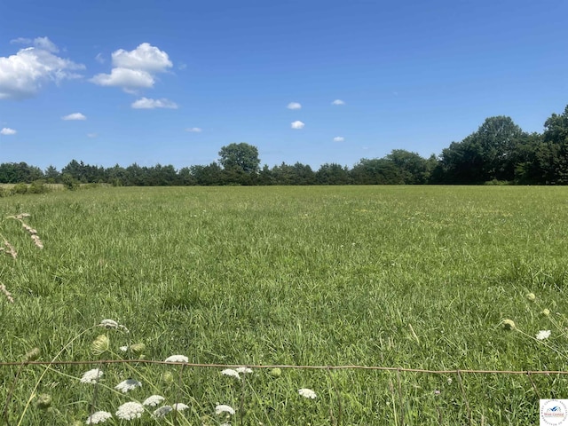 17254 Walnut Rd, Warsaw, MO 65355 - view of undeveloped land with rural landscape