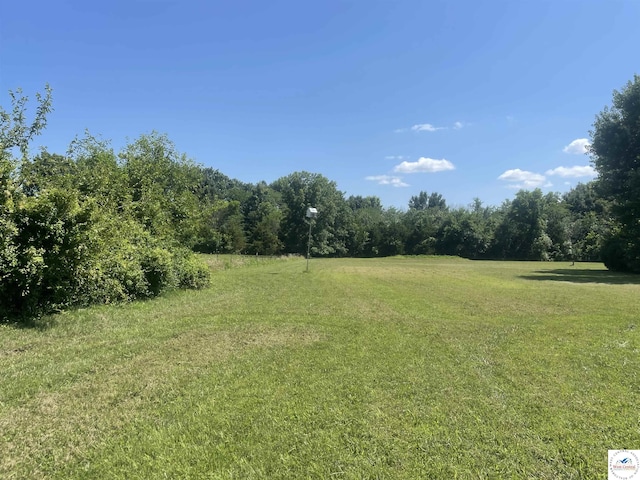 17254 Walnut Rd, Warsaw, MO 65355 - view of grassy yard featuring a view of trees