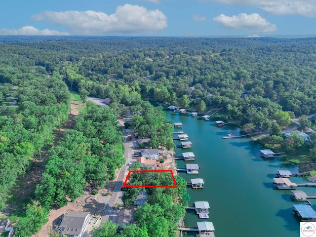 28174 Apex Ave, Warsaw, MO 65355 - view of property location with a heavily wooded area, property parcel outlined, and a large body of water