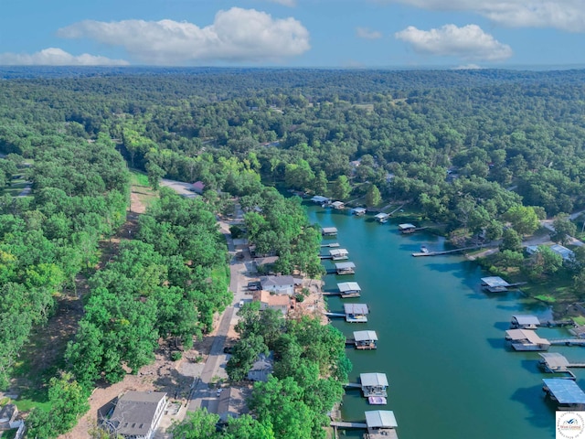 28174 Apex Ave, Warsaw, MO 65355 - view of property location featuring a forest and a large body of water