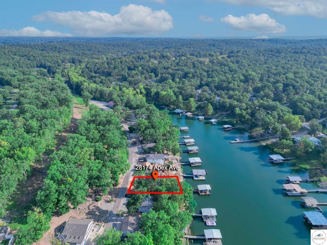 28174 Apex Ave, Warsaw, MO 65355 - aerial view of property's location featuring a forest, property parcel outlined, and a nearby body of water