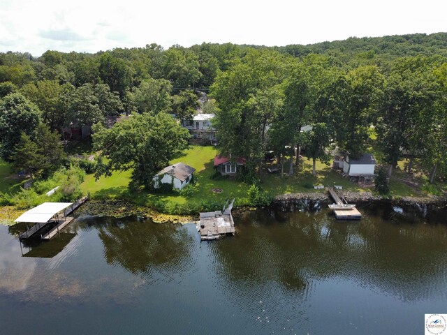 aerial view with a water view and a view of trees