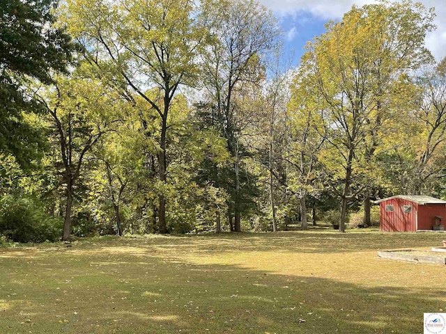 view of yard with a shed and an outdoor structure