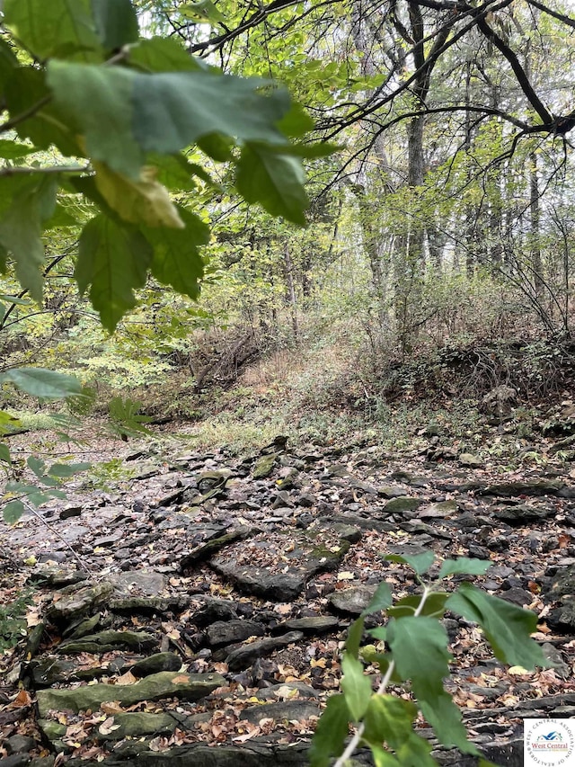 view of local wilderness