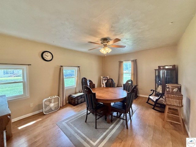 302 W Hiawatha St, Green Ridge, MO 65332 - photo 24