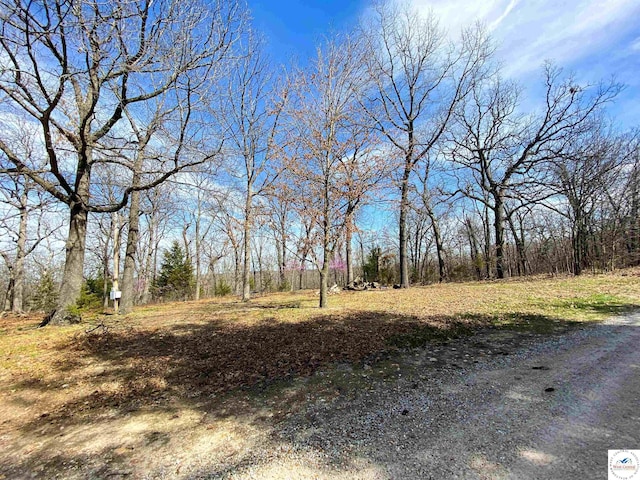 TBD NE 779th Rd, Lowry City, MO 64763 - photo 24