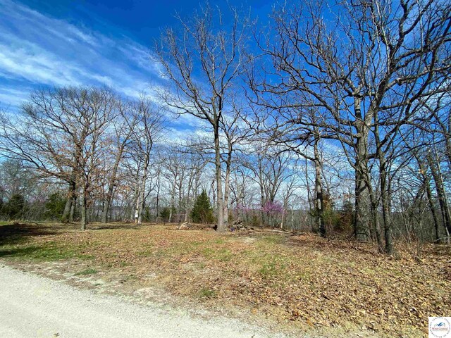 TBD NE 779th Rd, Lowry City, MO 64763 - photo 22