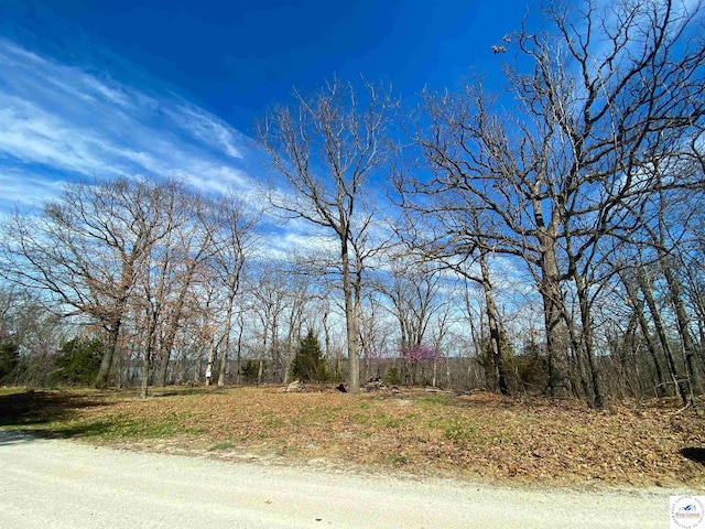 TBD NE 779th Rd, Lowry City, MO 64763 - photo 6
